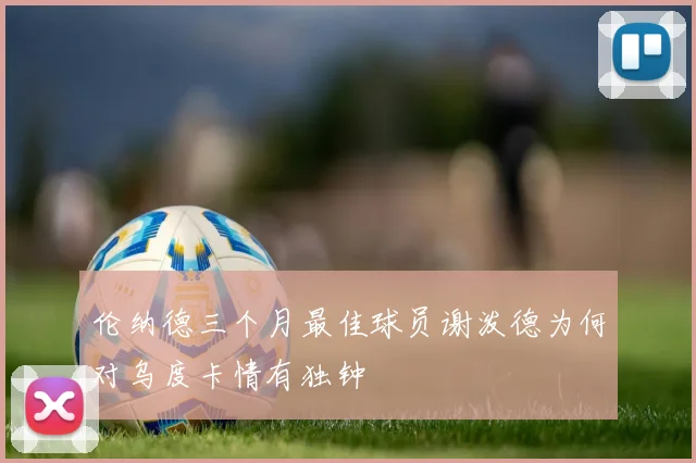 伦纳德三个月最佳球员谢泼德为何对乌度卡情有独钟