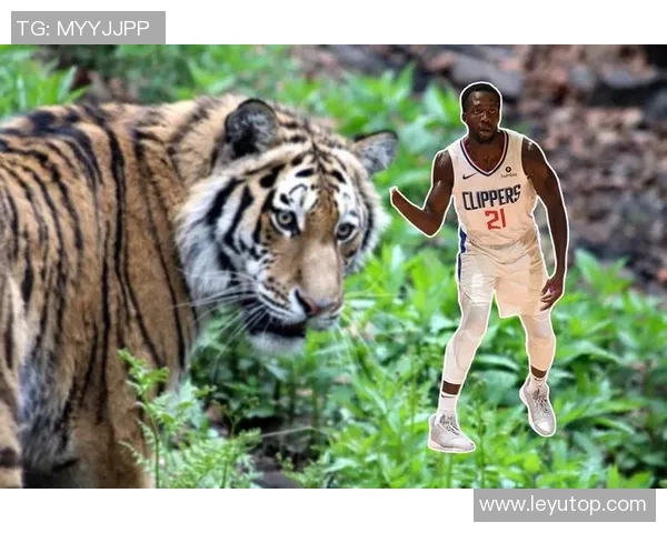 谢泼德分享抢断技巧:凭借本能与传球路线阅读提升防守能力 谢泼德分享抢断技巧:凭借本能与传球路线阅读提升防守能力